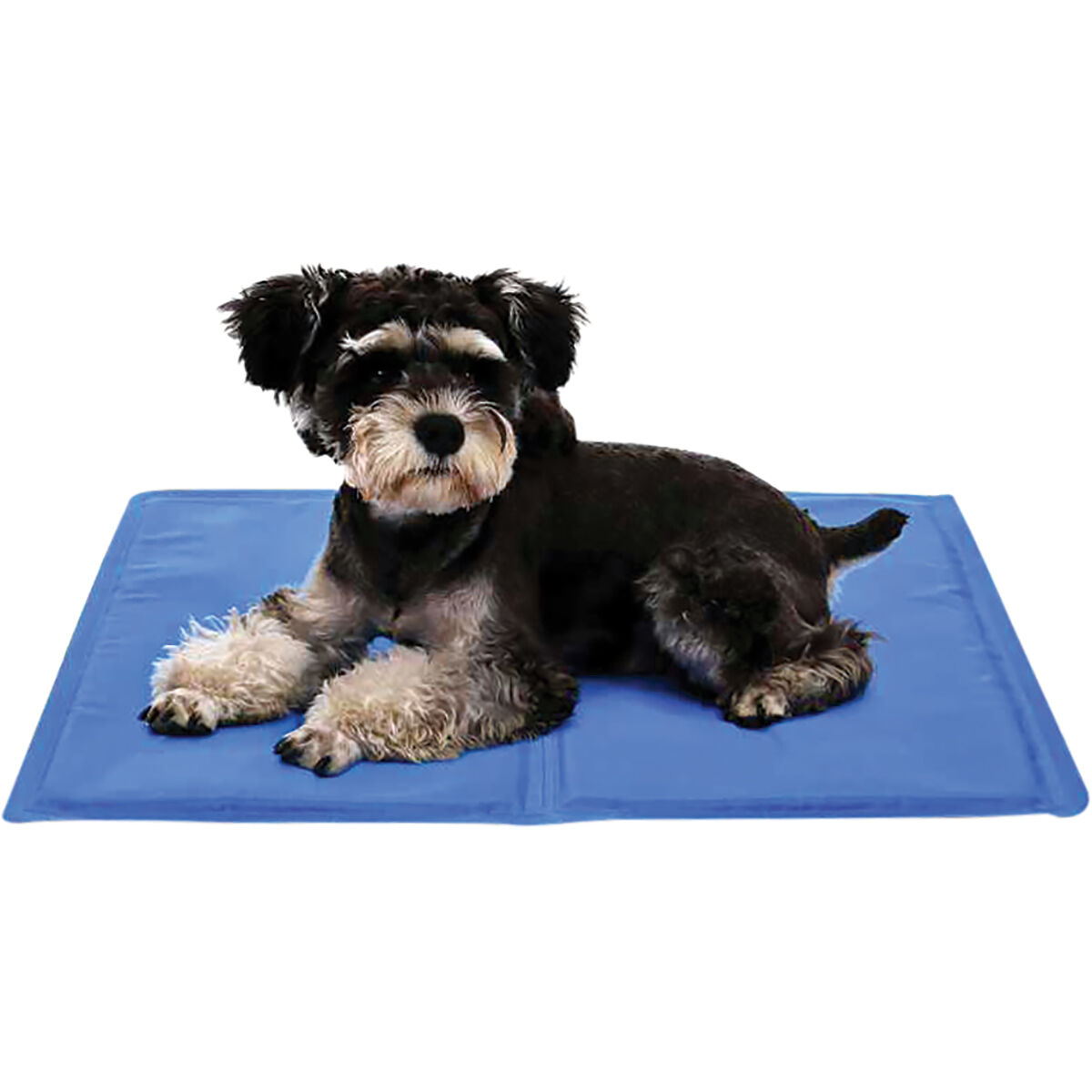 cooling mats for dogs nz